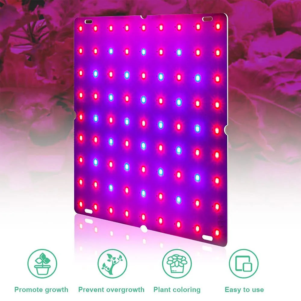 LED Plant Grow Light 1000W/2000W Full Spectrum Hydroponic Growing Lamp