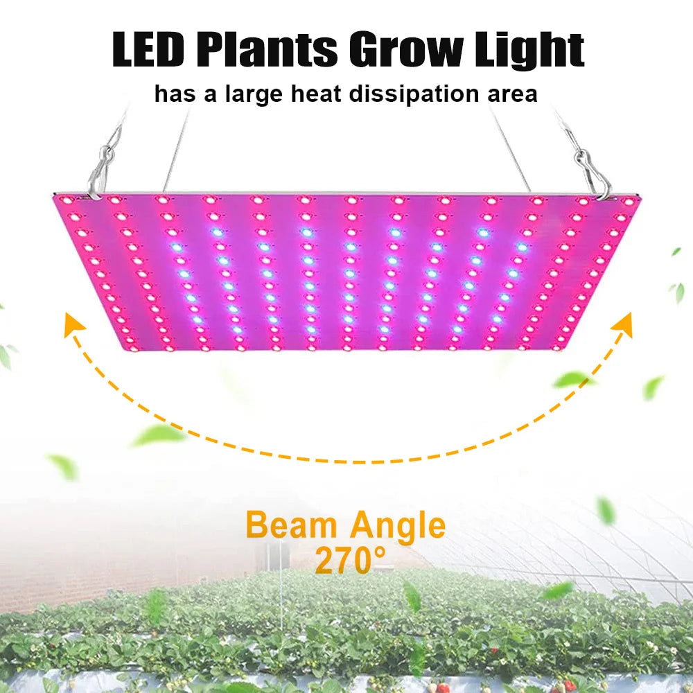 LED Plant Grow Light 1000W/2000W Full Spectrum Hydroponic Growing Lamp