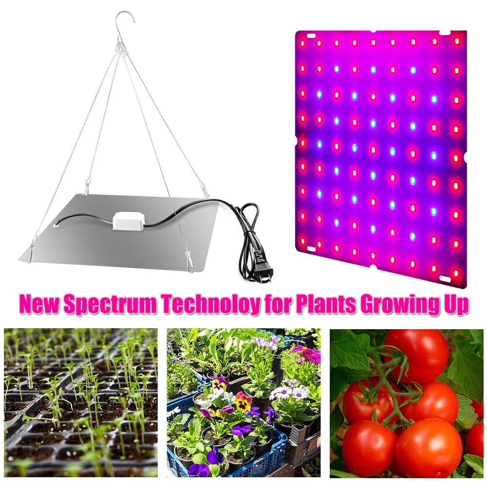 LED Plant Grow Light 1000W/2000W Full Spectrum Hydroponic Growing Lamp
