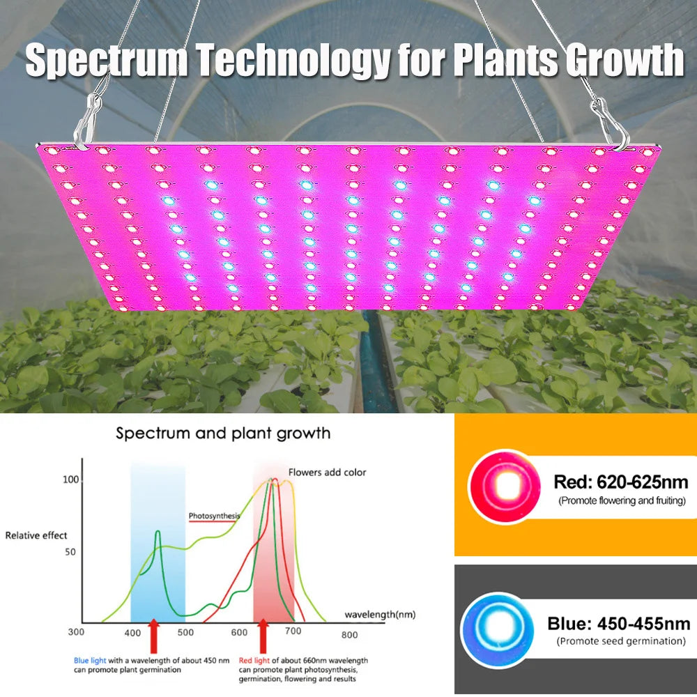 LED Plant Grow Light 1000W/2000W Full Spectrum Hydroponic Growing Lamp