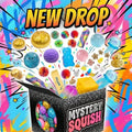 Squish Time Nee Doh Mystery Blind Box, Random Squeeze Fidget Toy, Stress Relief Cute Sensory Toy for All Ages