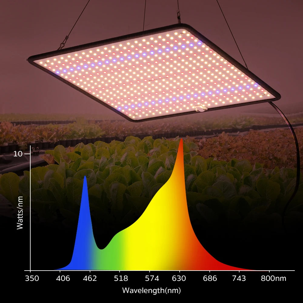 LED Grow Light Full Spectrum Phyto Lamp AC85-240V 40W  For Indoor Grow