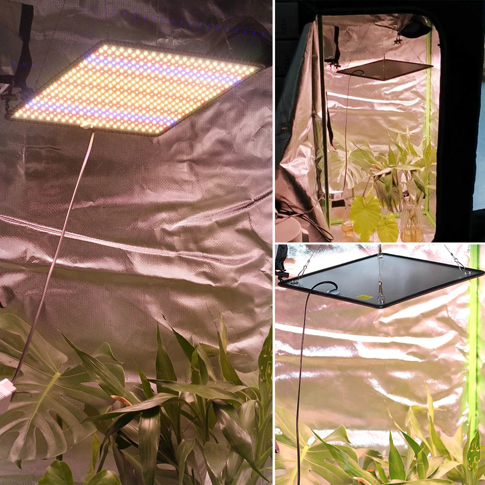 LED Grow Light Full Spectrum Phyto Lamp AC85-240V 40W  For Indoor Grow